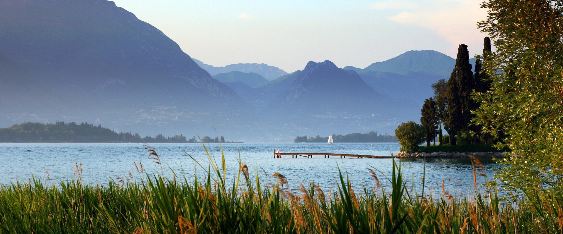 手机号狂轰滥炸软件