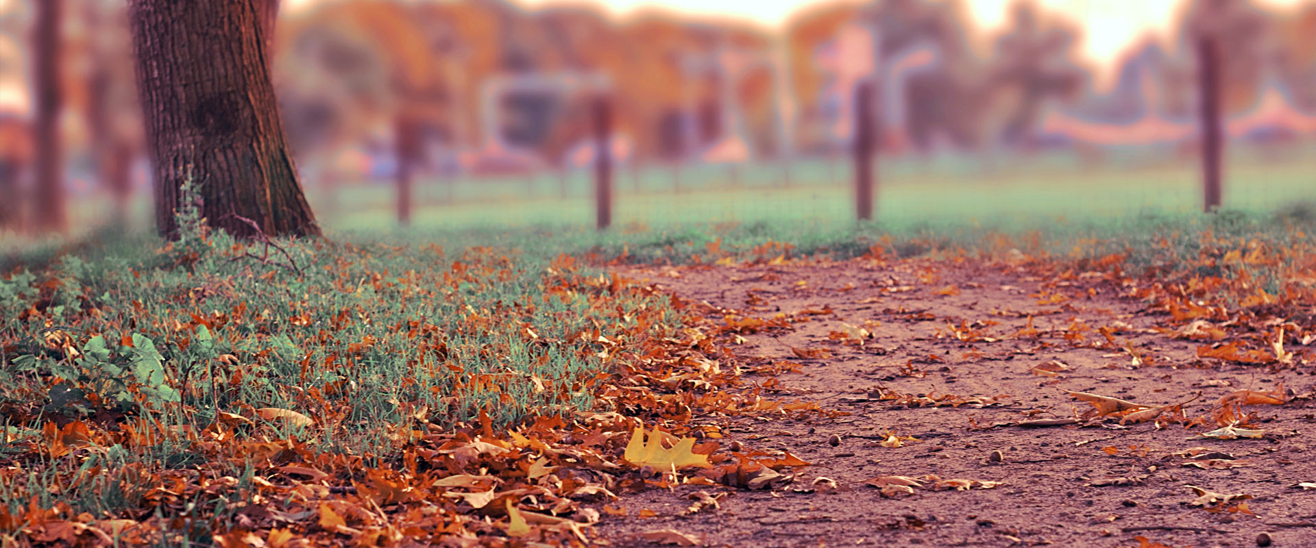 在线短信轰炸机网页版