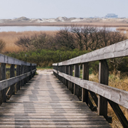 虚拟号码手机号发送平台