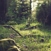 折扣优惠便宜的云呼电话